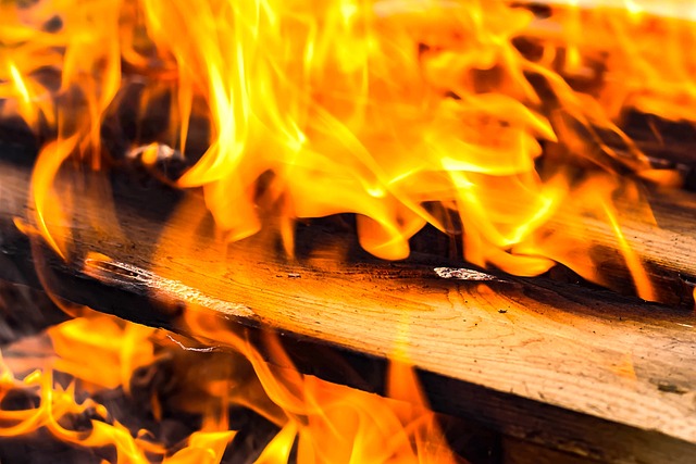 Efficiënt verwarmen: Pini Kay briketten en berken haardhout ontdekken